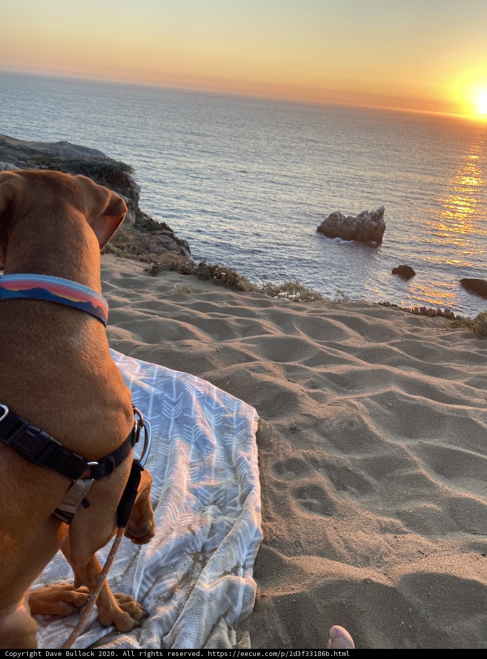 Sunset Serenade