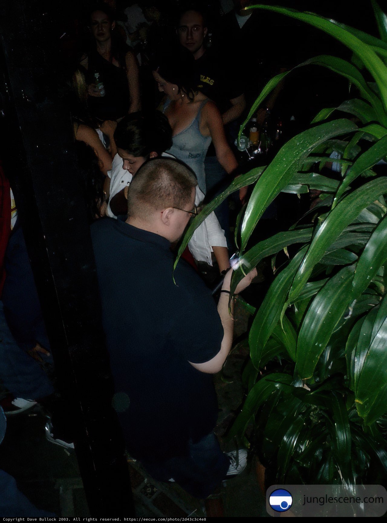 Club Night Gathering Around Foliage