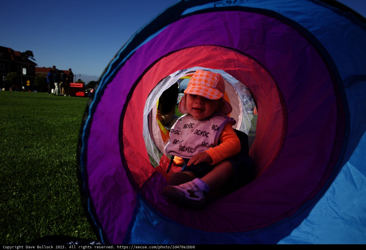 Baby's Day Out: Adventure in a Purple and Blue Tent
