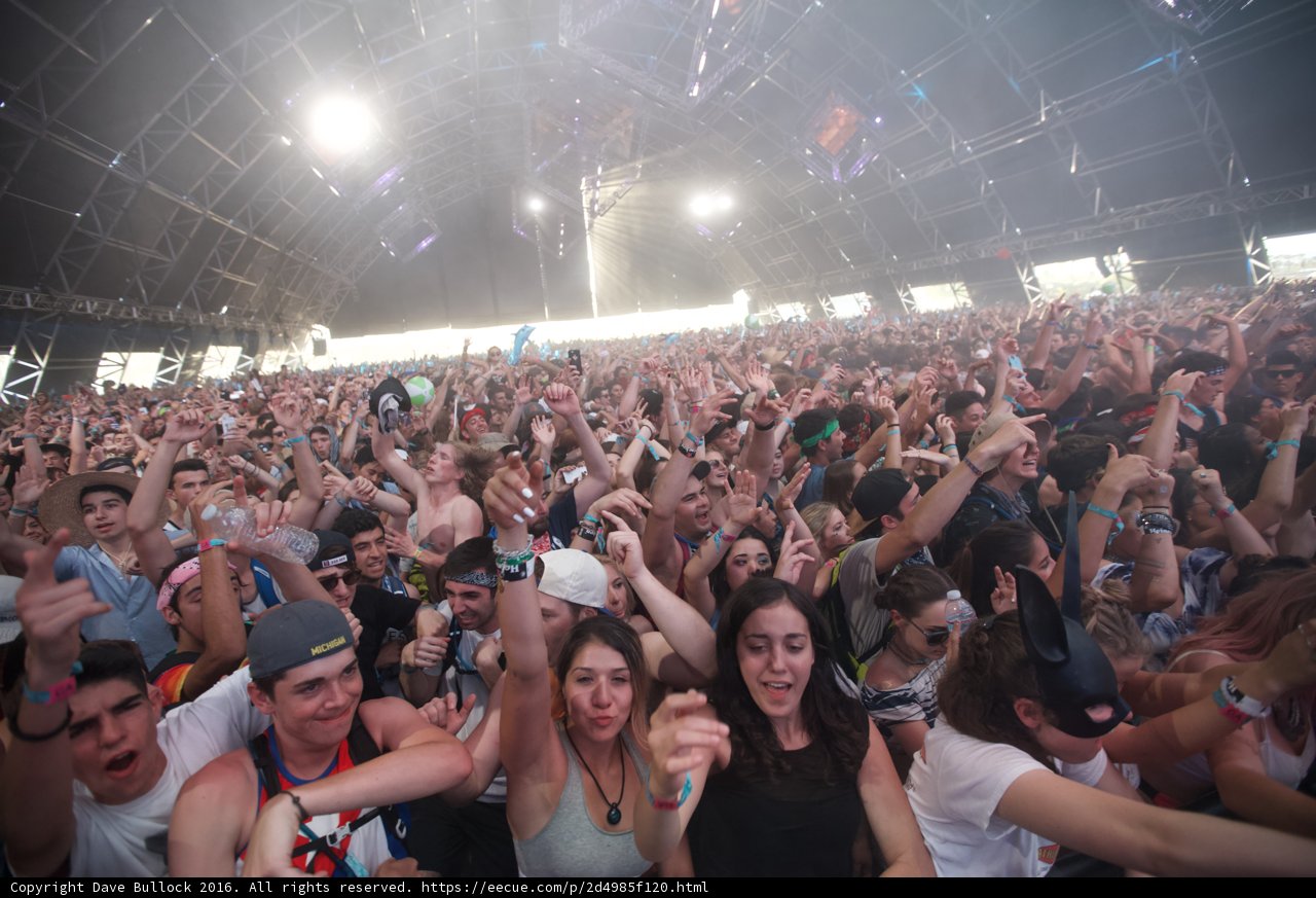 Crowd Goes Wild at Coachella