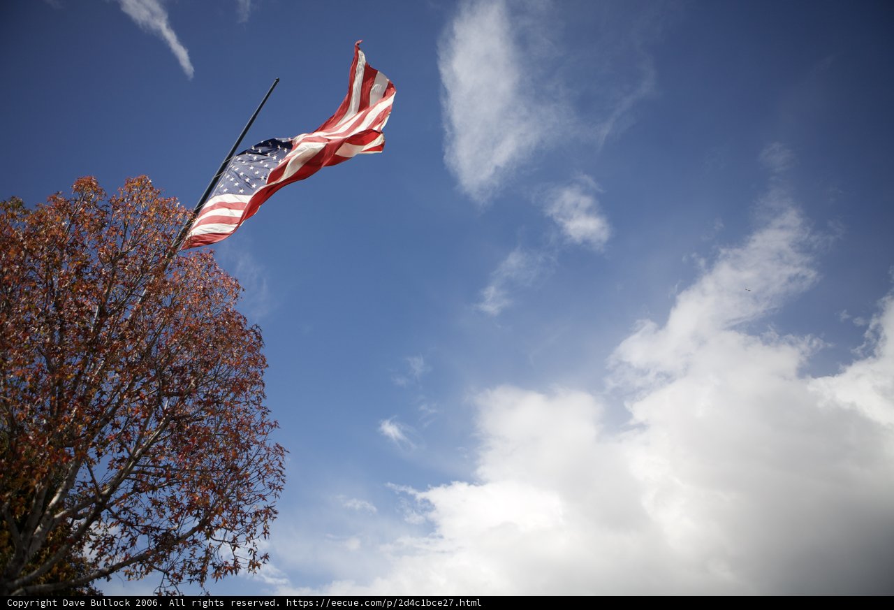 Honoring the Fallen
