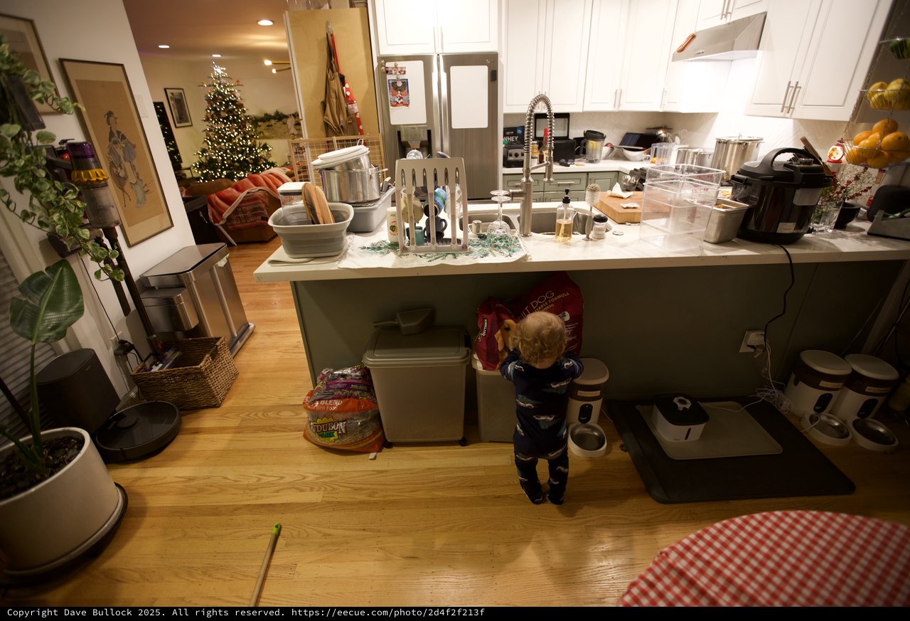 Toddler Exploring Kitchen on Christmas Morning 2025
