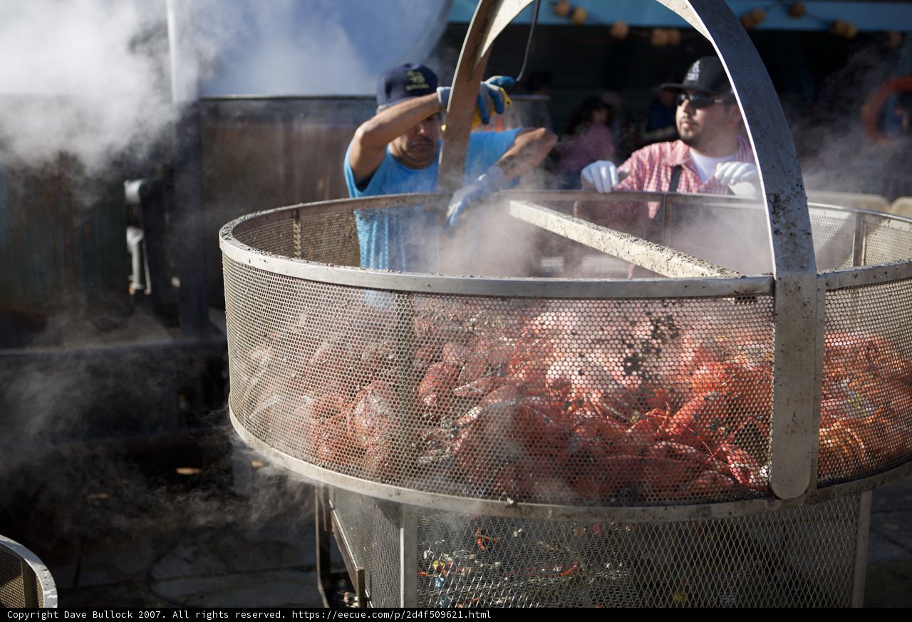 Lobster Festival Cookout