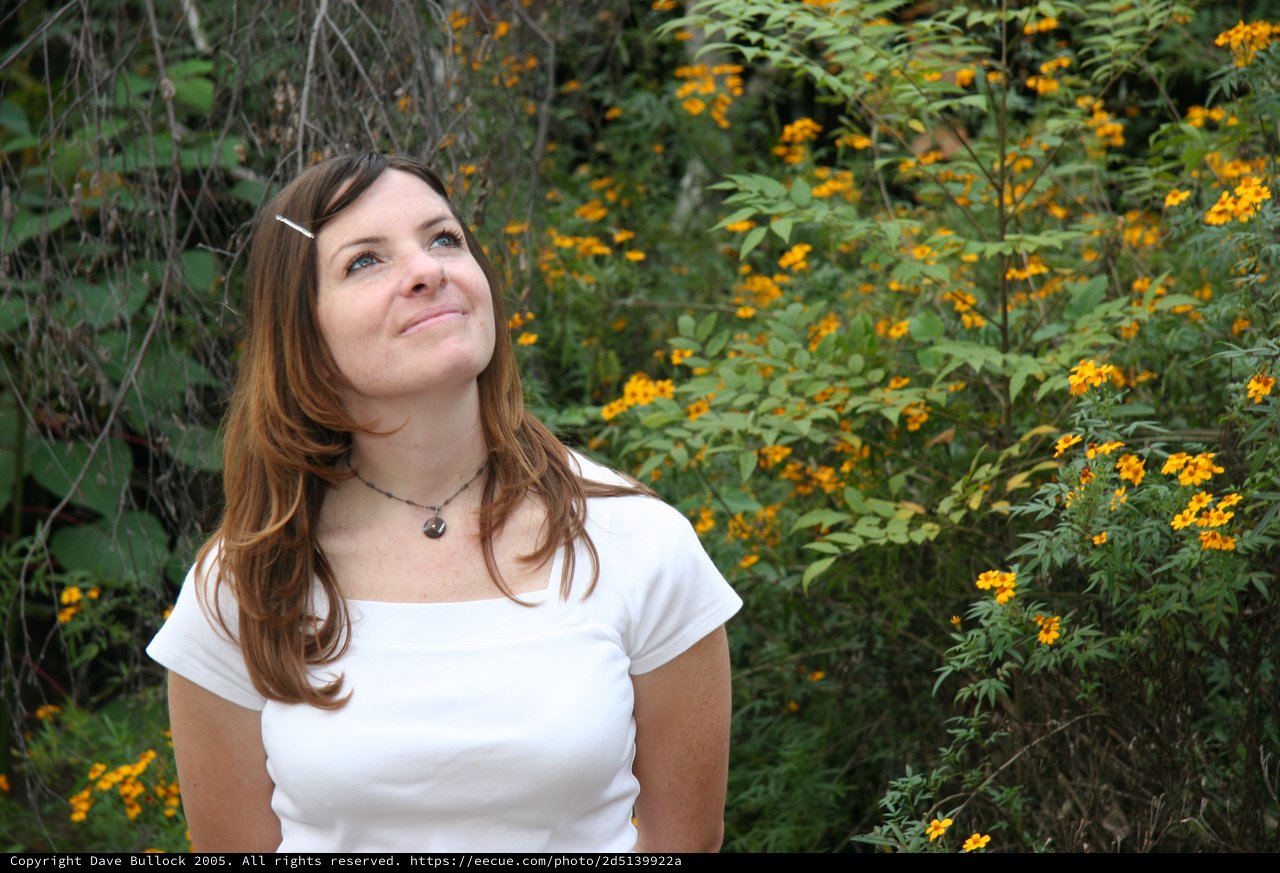 Woman Gazing Upward Among Yellow Wildflowers