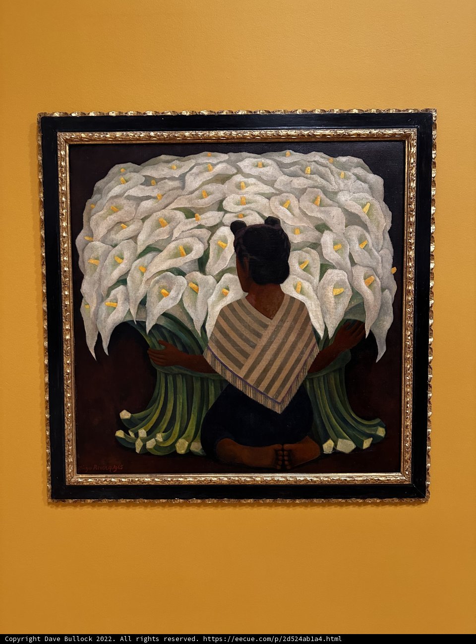 Flowers and a Yellow Wall