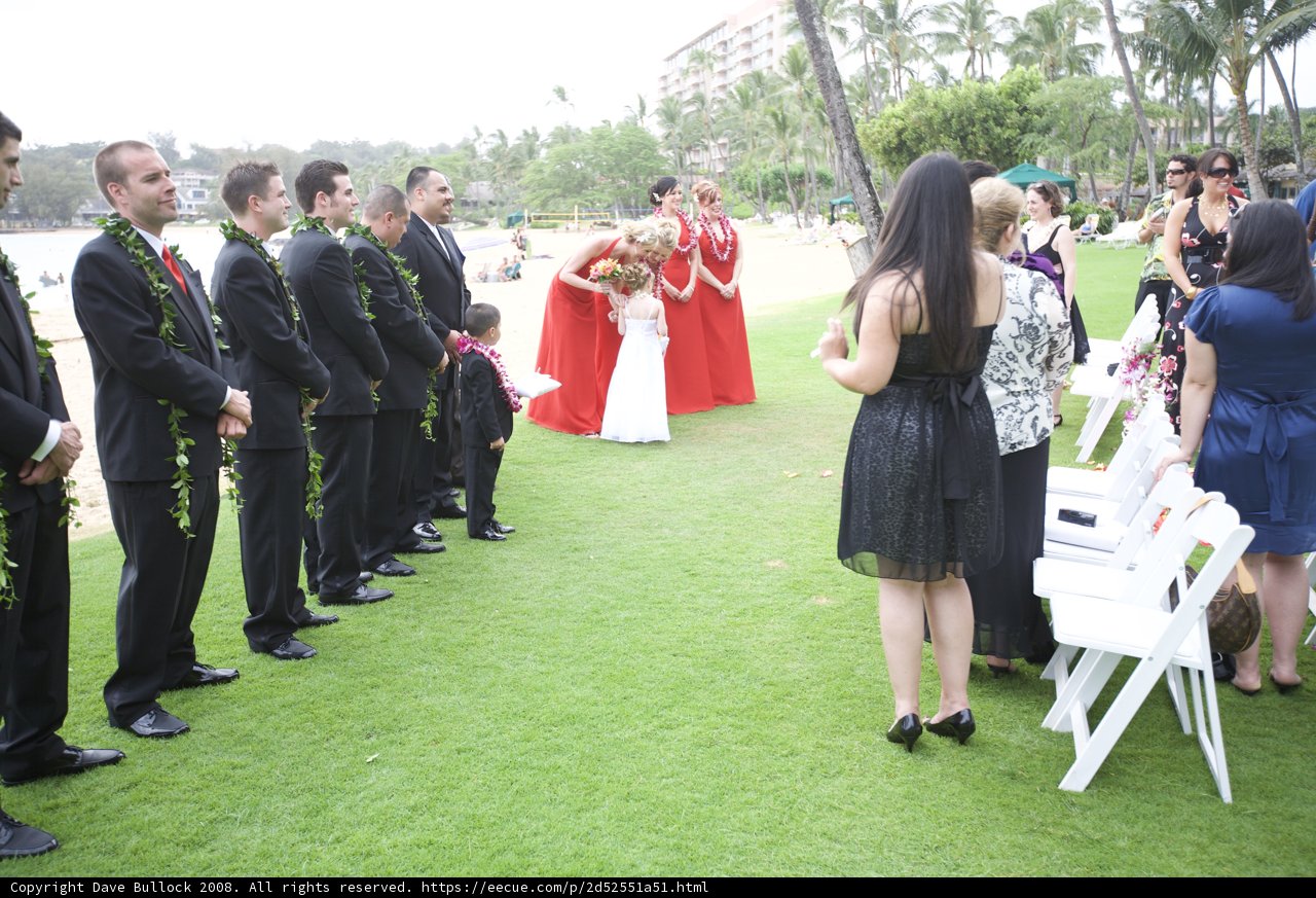 A Magical Garden Wedding
