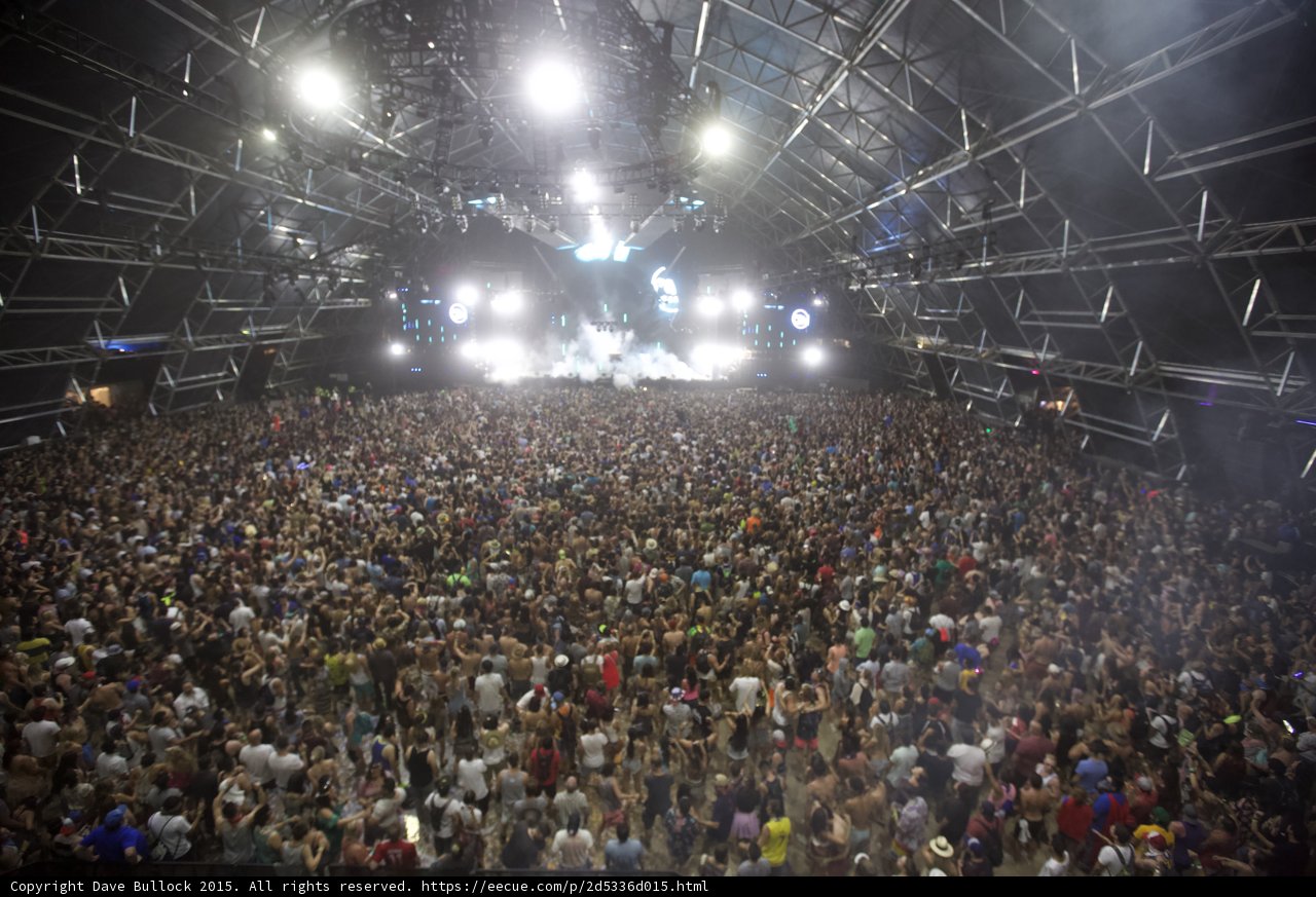 Rockin' with the Crowd
