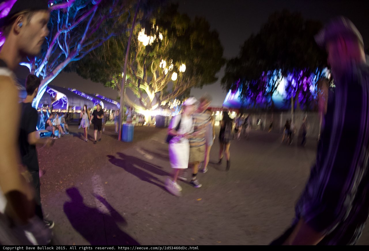 Festival Grounds Night Walk