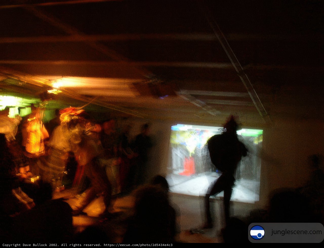 Nightclub Gathering