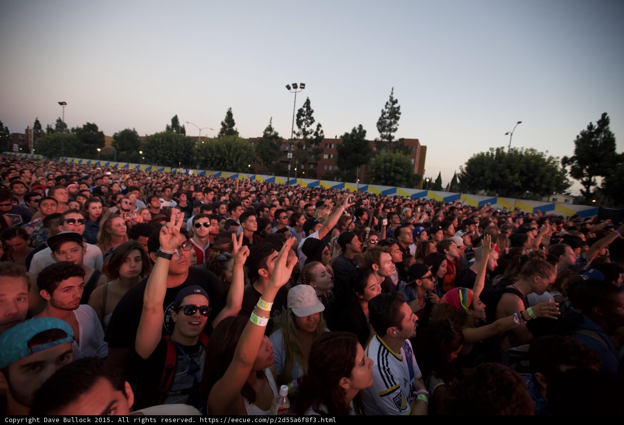 Peace Signs Crowd