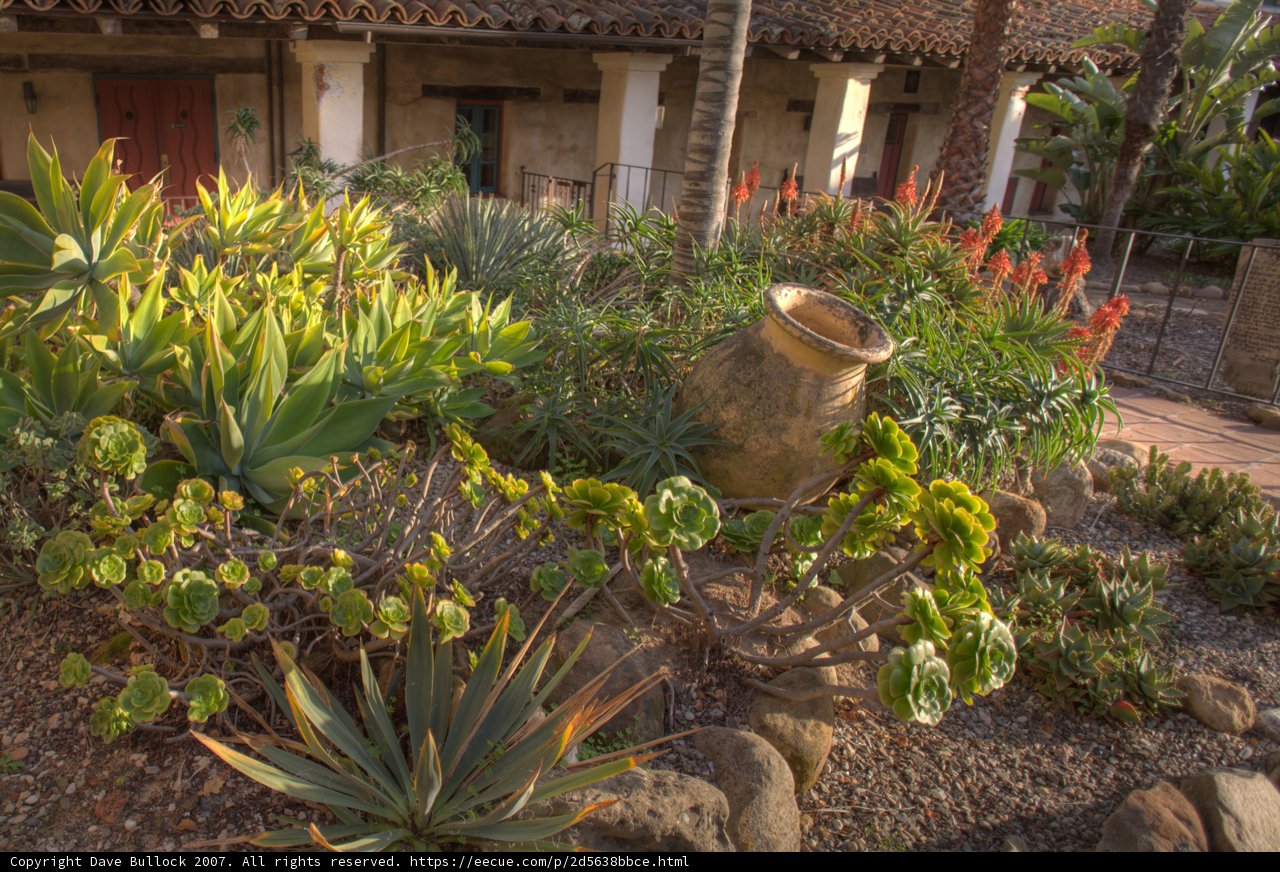 Potted Plants in a Garden Retreat