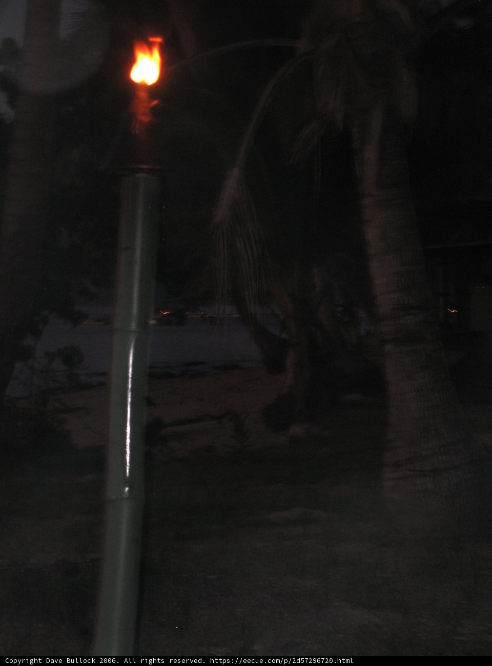Illuminating the Night
