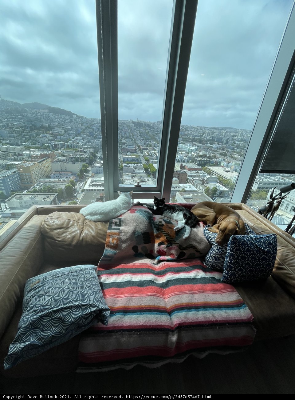Cozy Cityscape