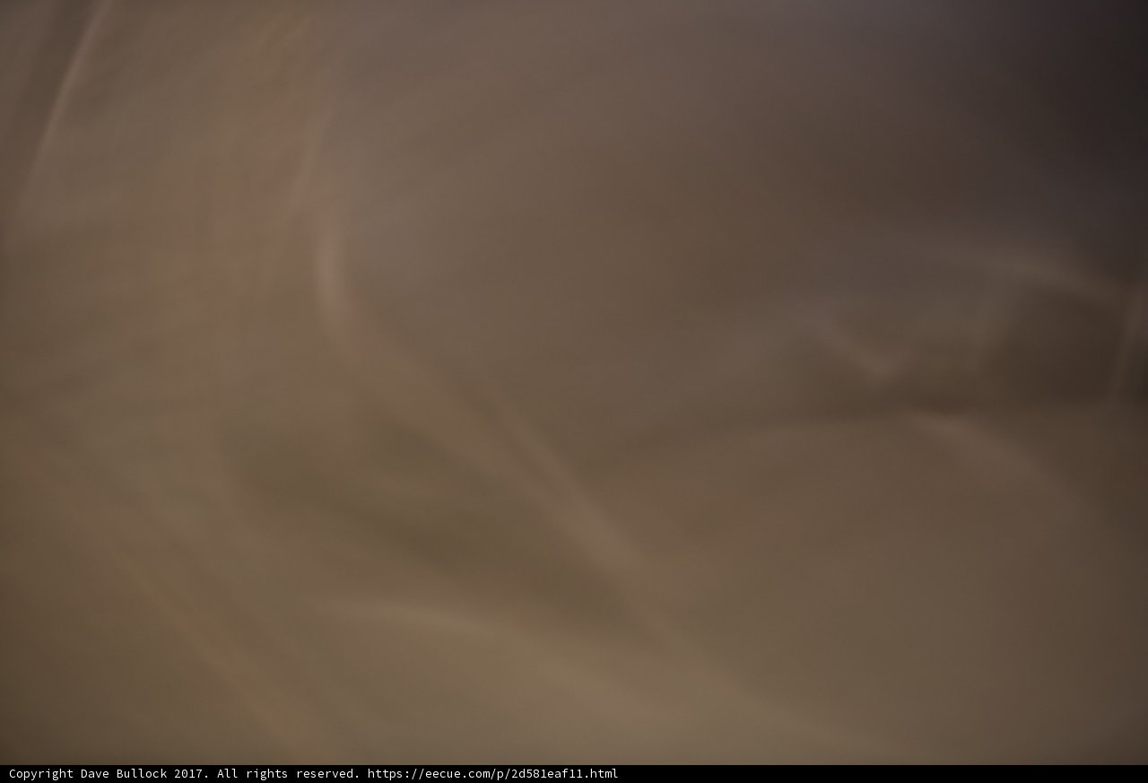 Blurred Stroll in the Desert