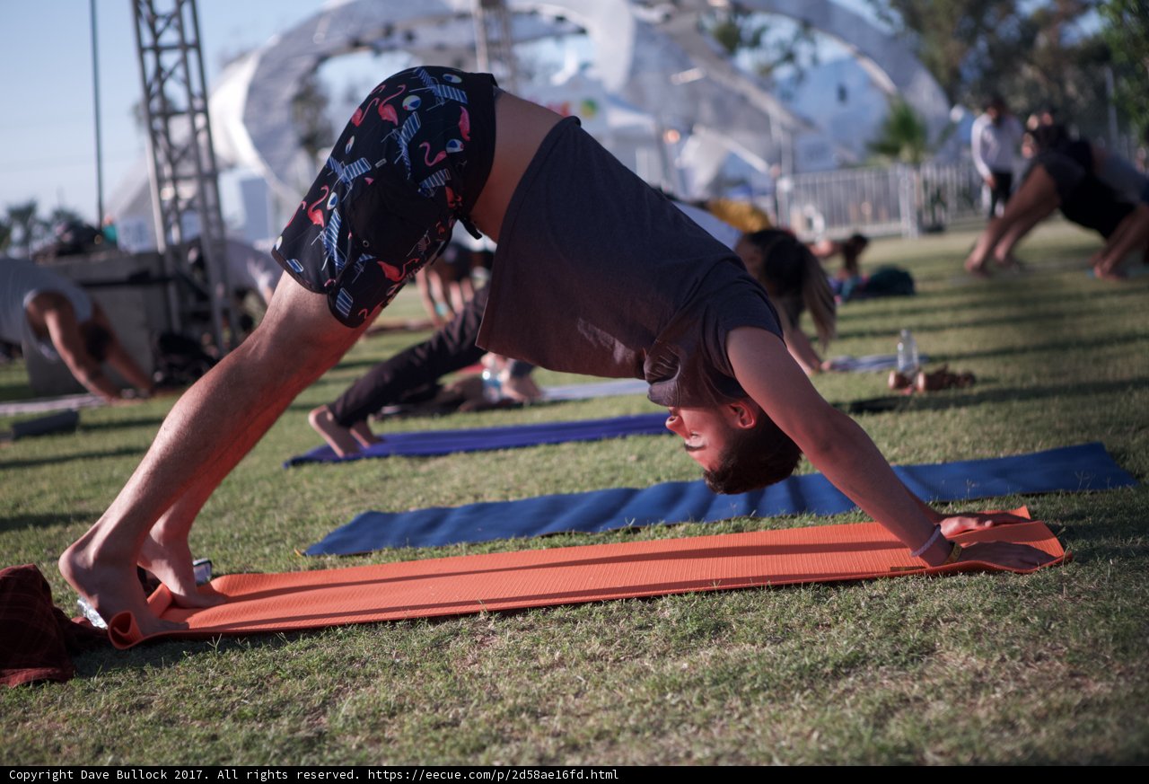 Yoga in the Grove