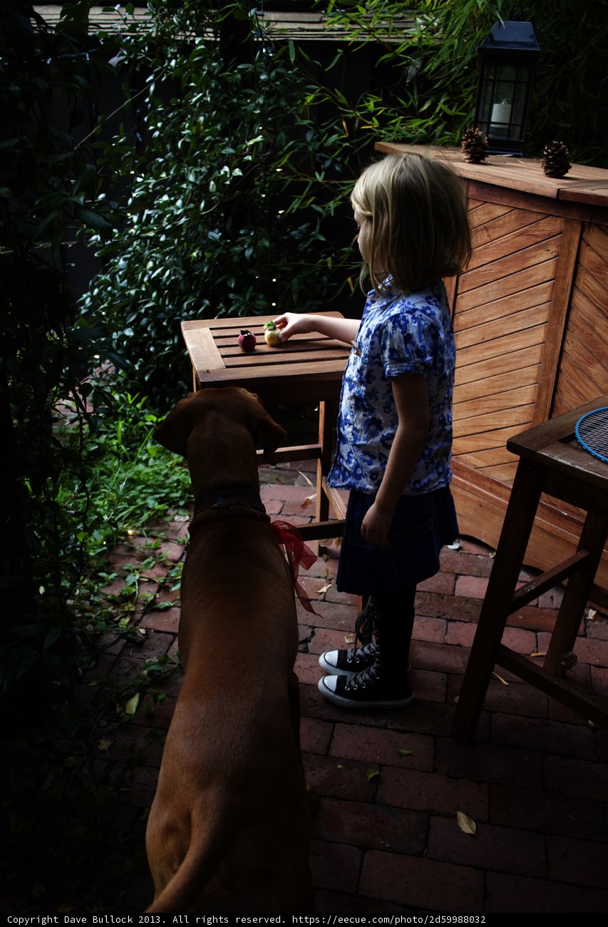 The Little Girl and Her Loyal Companion