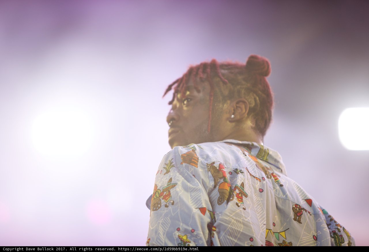 The Flowery-Headed Man of Coachella
