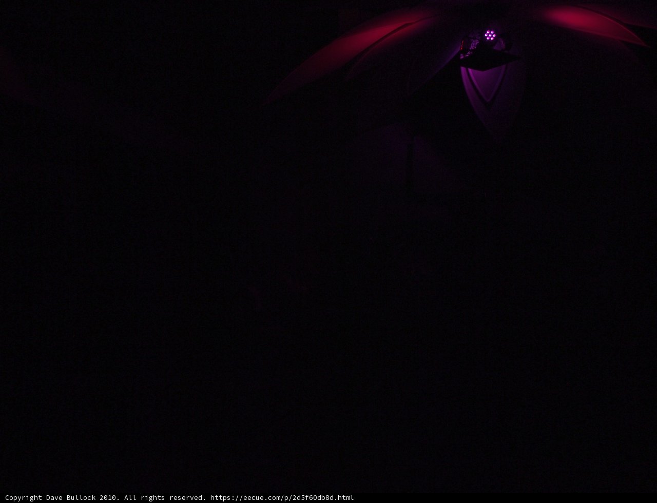 Purple Spotlight