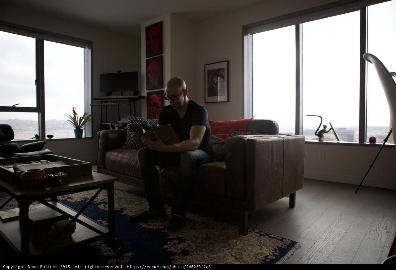 Reading in the Living Room