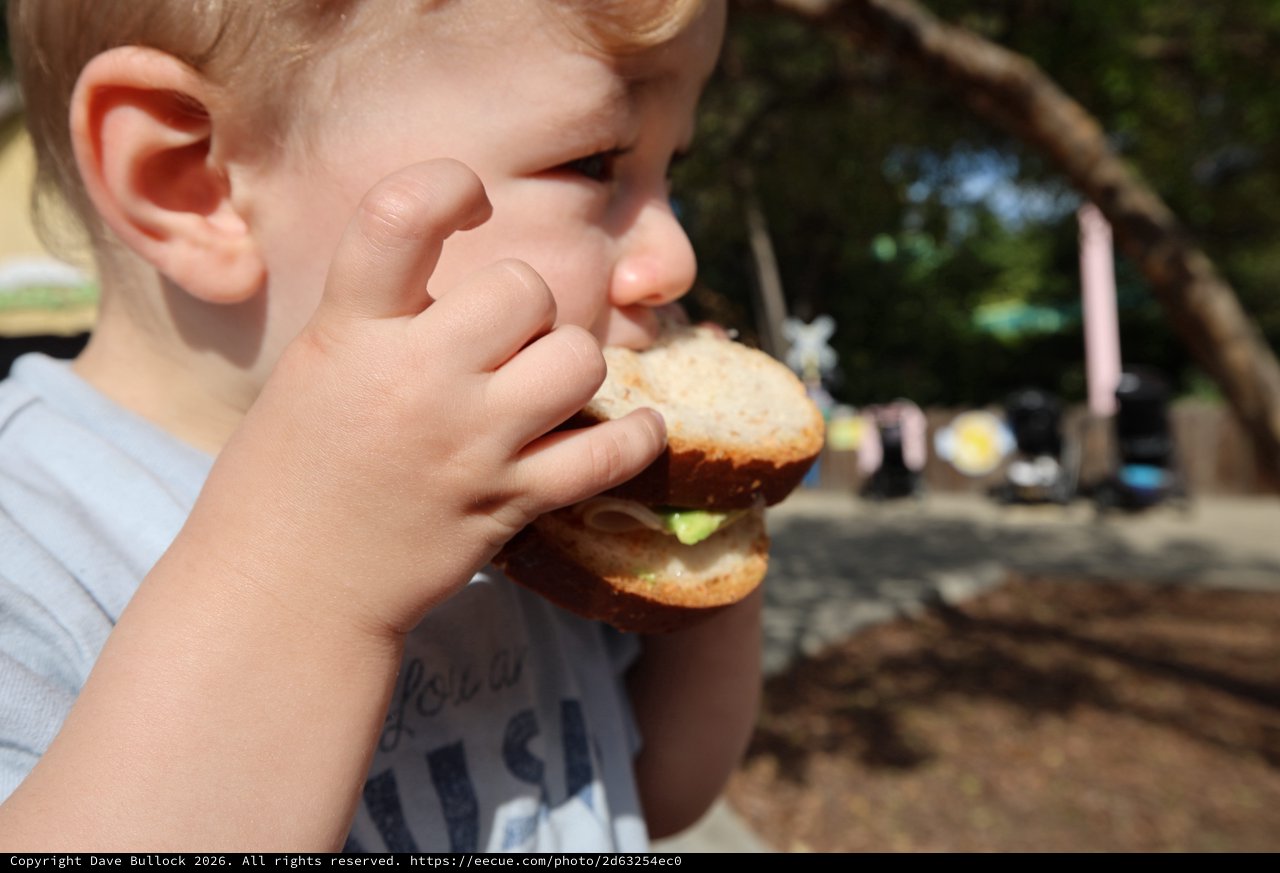 Young Child Enjoying a Burger Outdoors