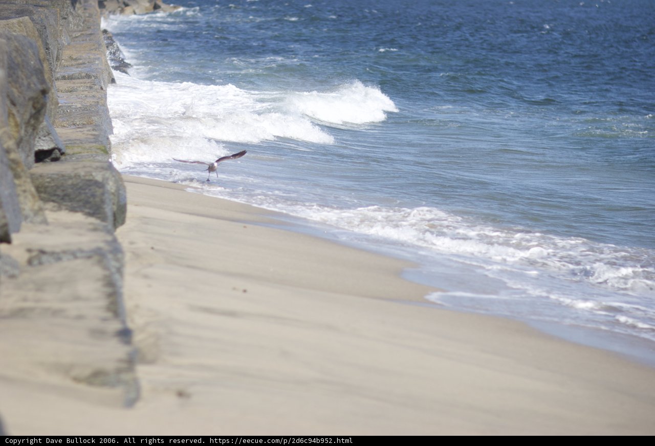 Soaring above the Waves