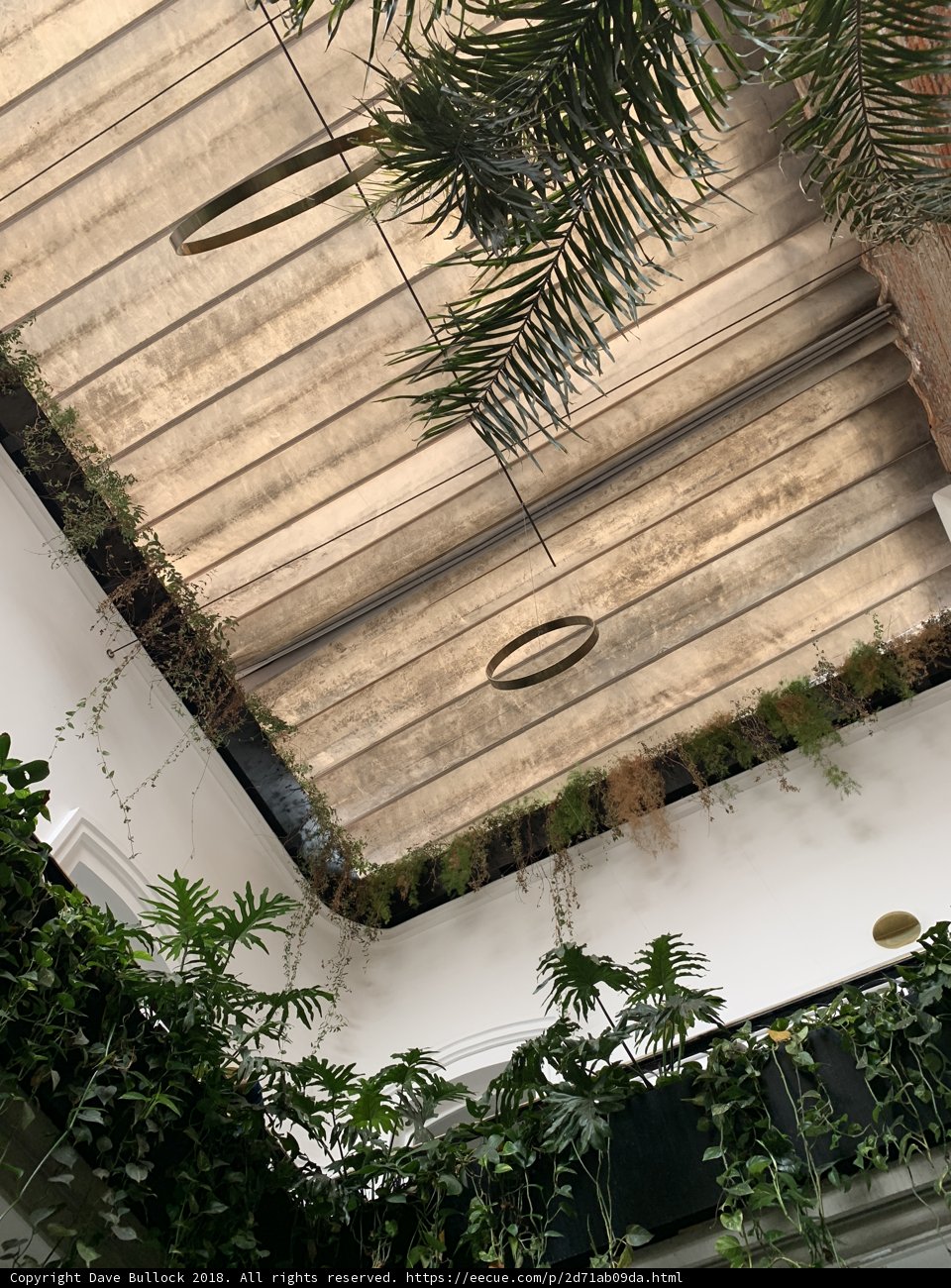 Natural Serenity in the Heart of Architecture