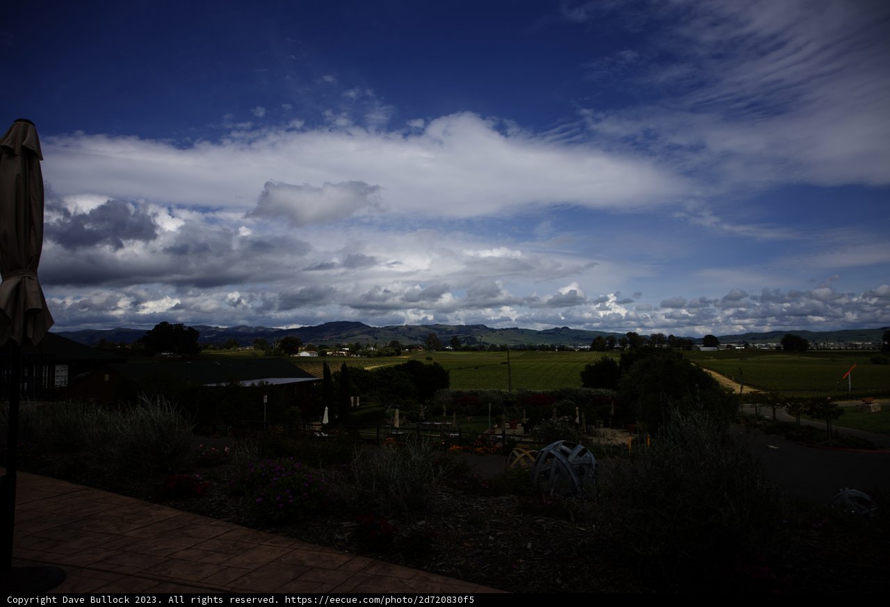 Serene Stroll through Bouchaine Vineyards