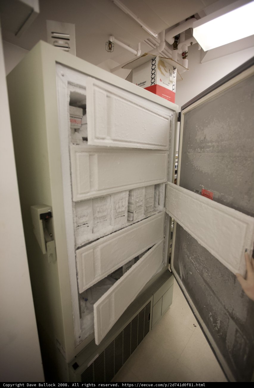 Inside the Freezer
