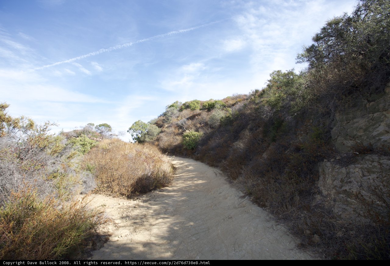 A Serene Path Through The Wilderness