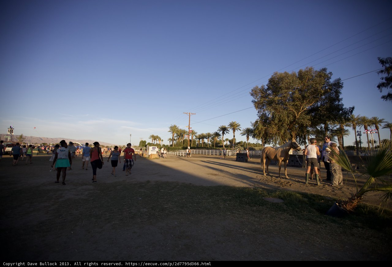 Horses and Humans Walking In Harmony