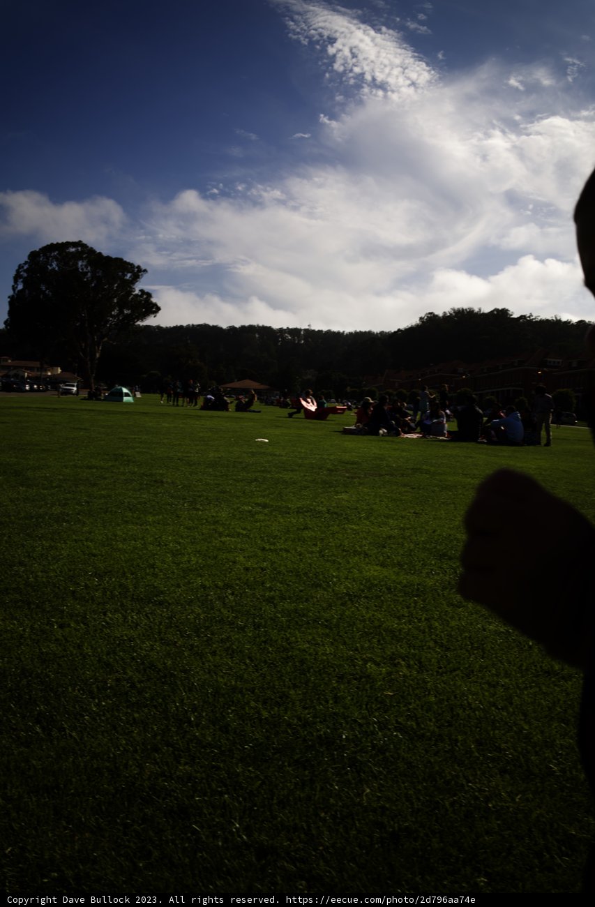 Kite-Flying Adventure in Presidio, 2023