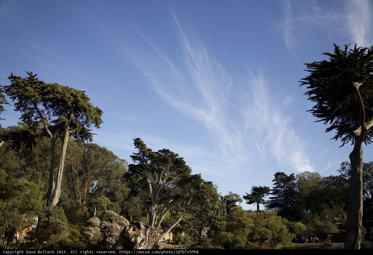 Summer Serenity in November Sky