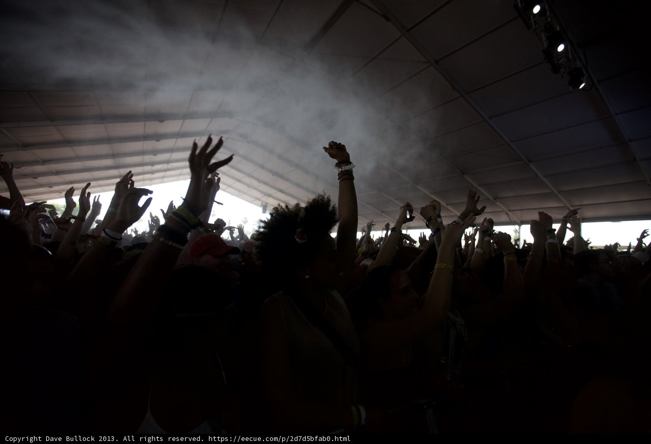 Hands Up in the Crowd