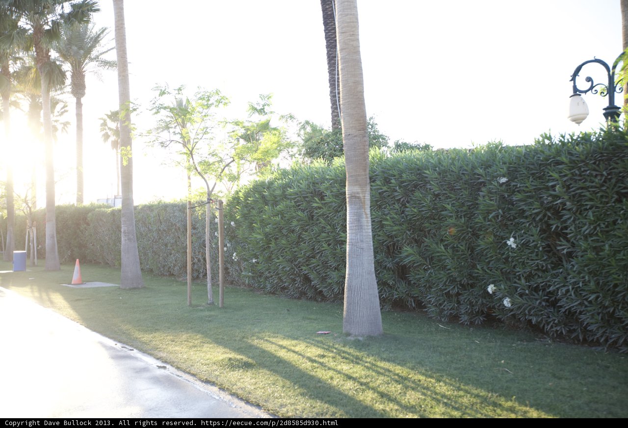 Skateboarding through Nature