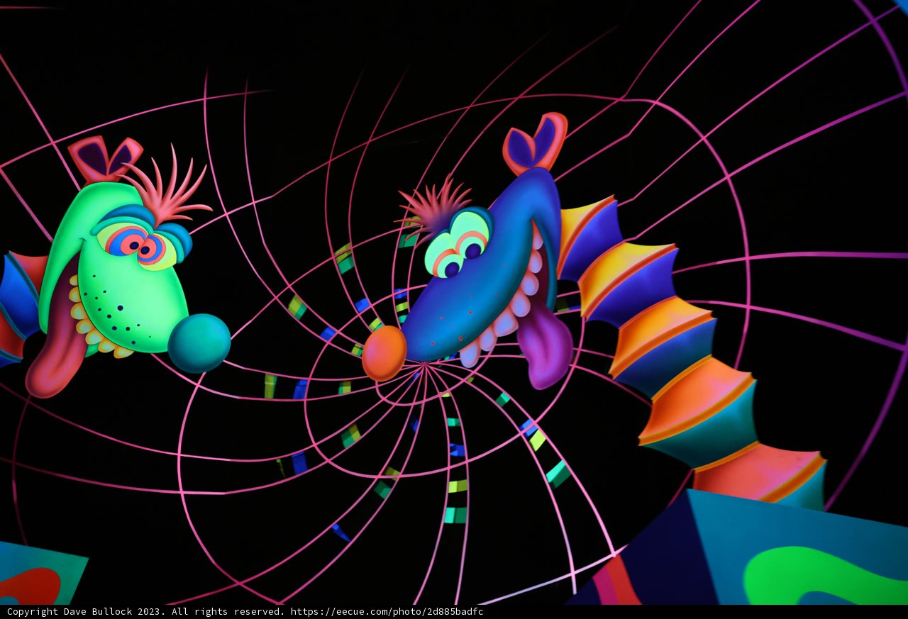 Entangled Friends