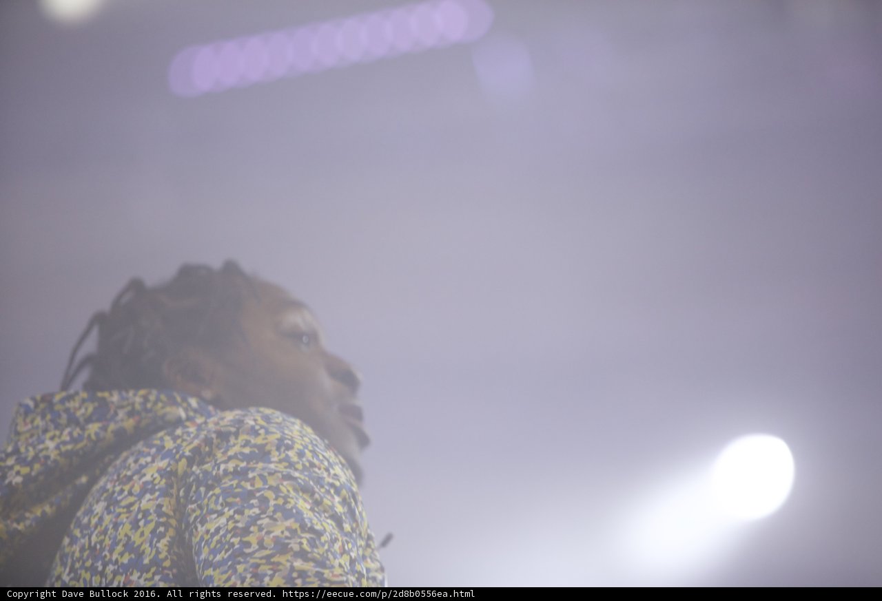 Solo Performance in Nature's Spotlight