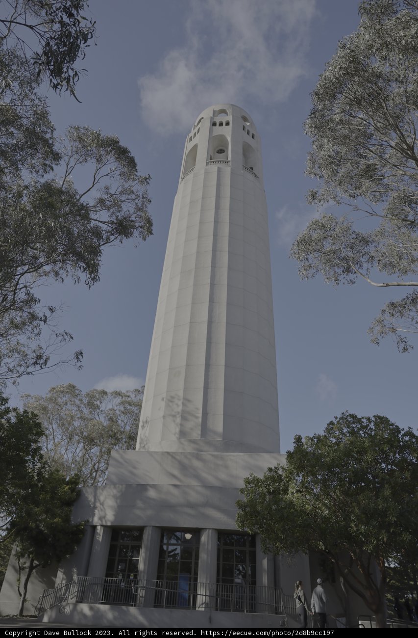 Coit Tower Rising Through San Francisco Trees