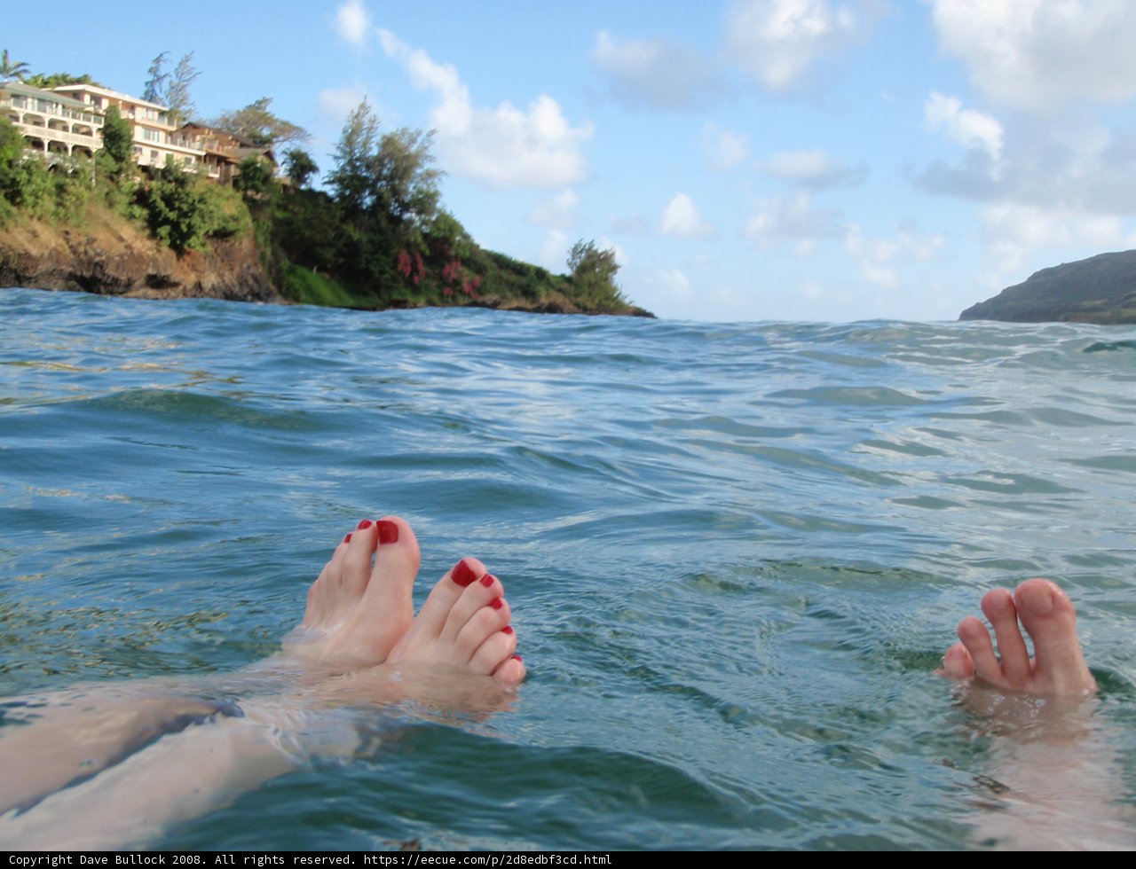 Barefoot Paradise