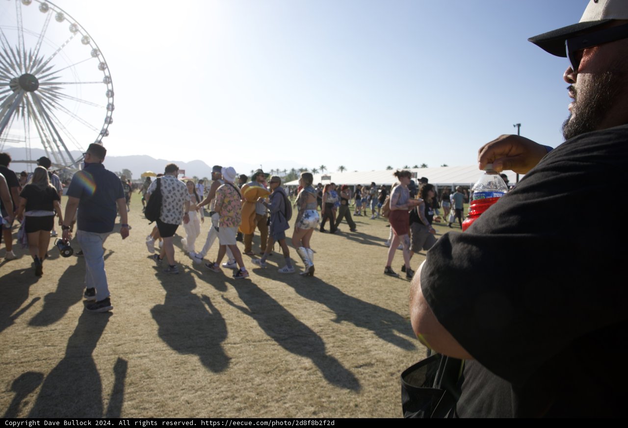 Festival Vibes: A Snapshot from Coachella 2024