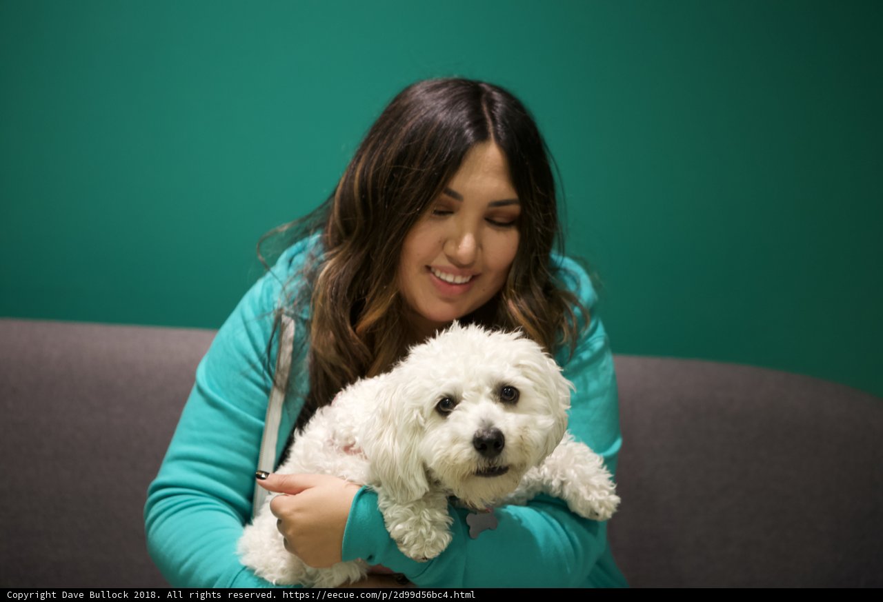 A Happy Lady and Her White Canine Companion