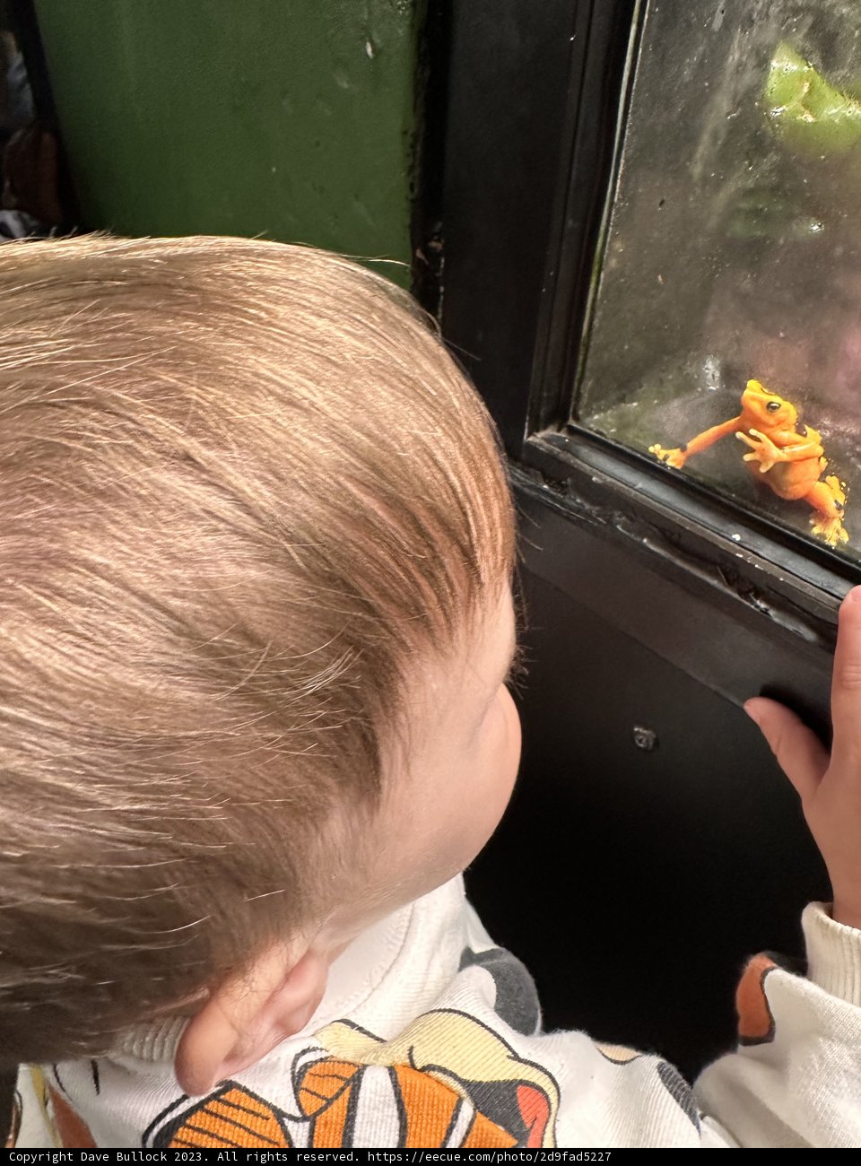 A Toddler's Fascination