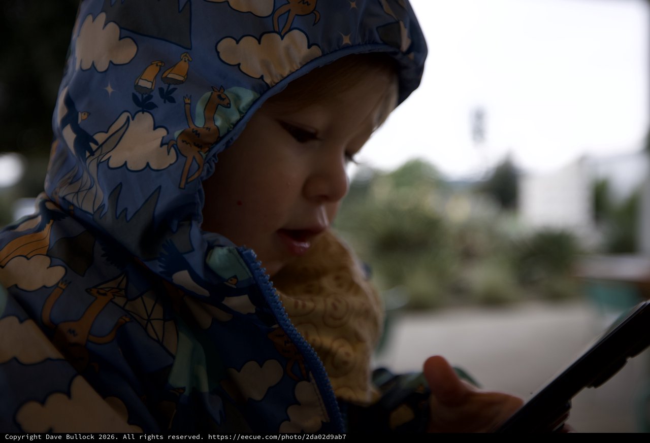 Child in Dinosaur Hood Enjoying Outdoor Meal
