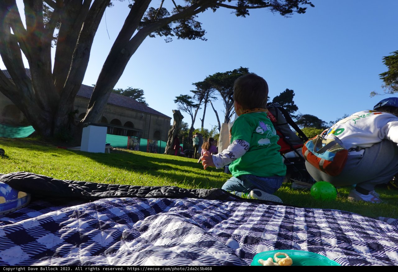 Summer Day Delight: A Child's Leisure in Nature