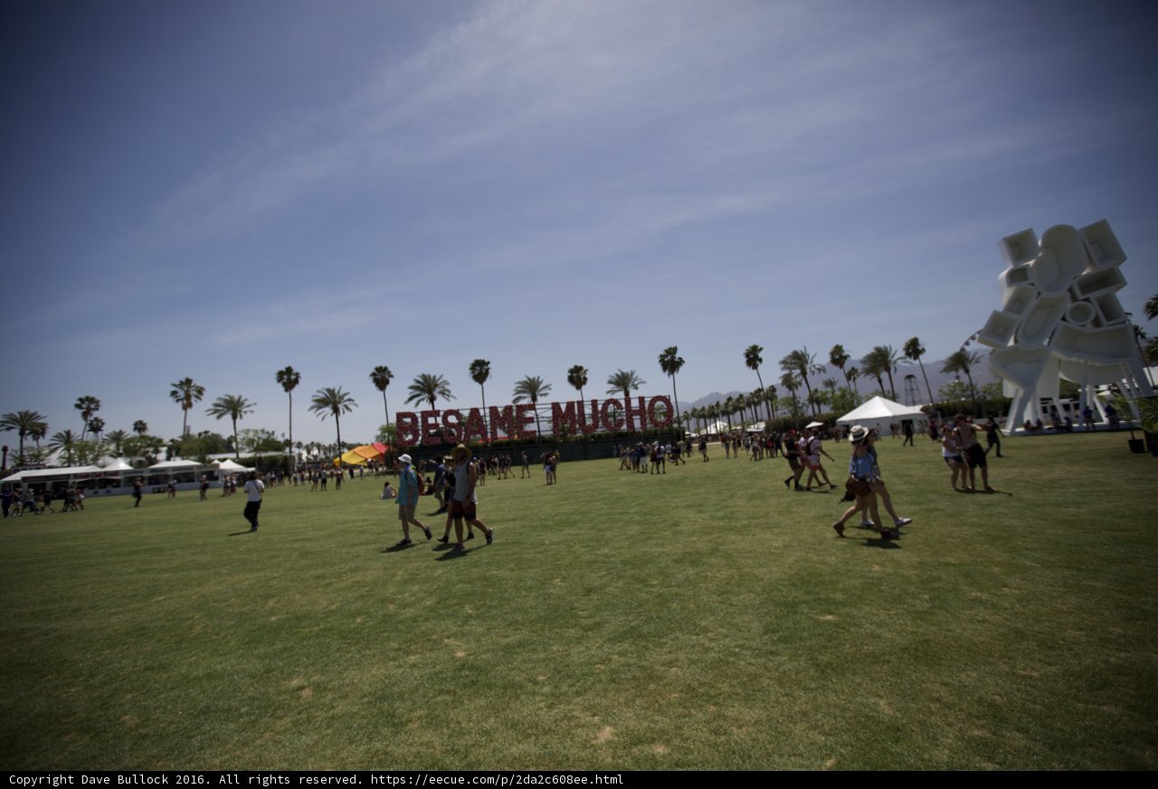 Dancing on the Grass at Coachella