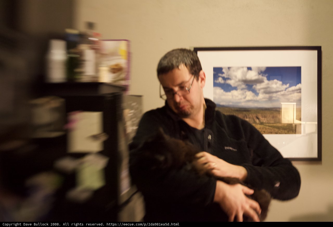 Man and Cat