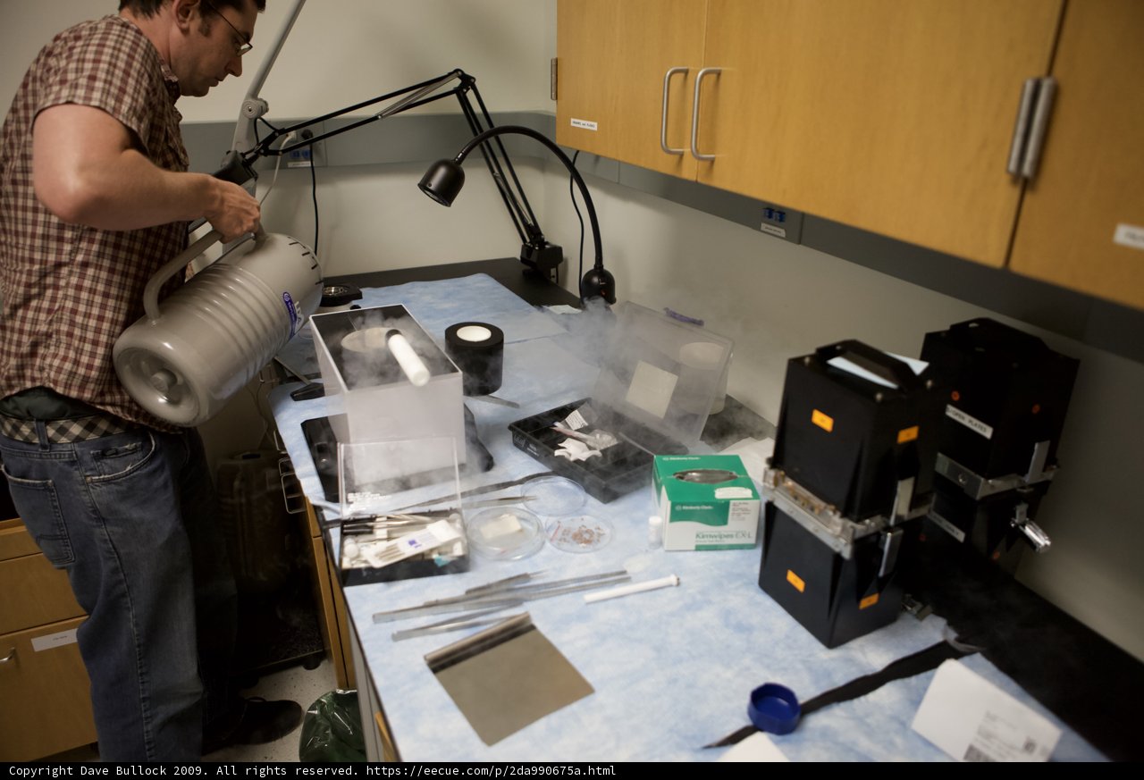 Examining Microscopic Worlds