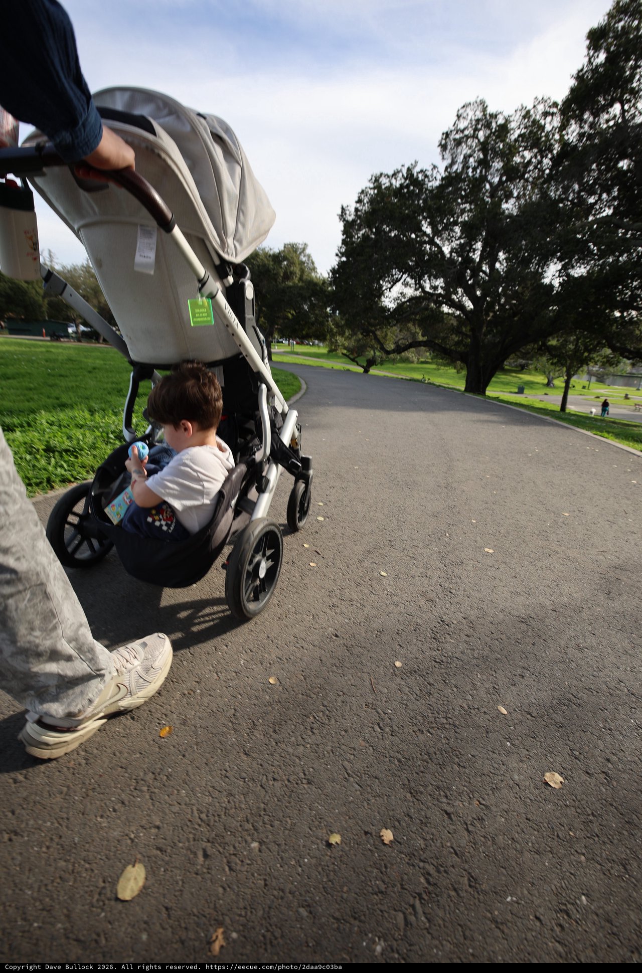 Peaceful Park Stroll with Child in Stroller