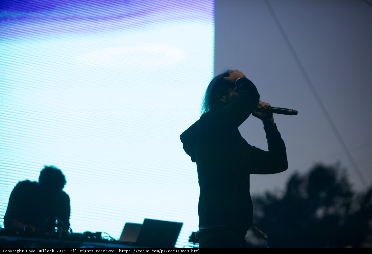 Silhouette Blue Purple Screen