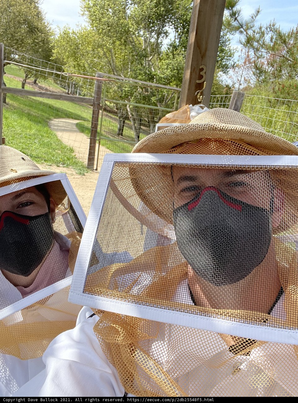 Beekeeping Duo