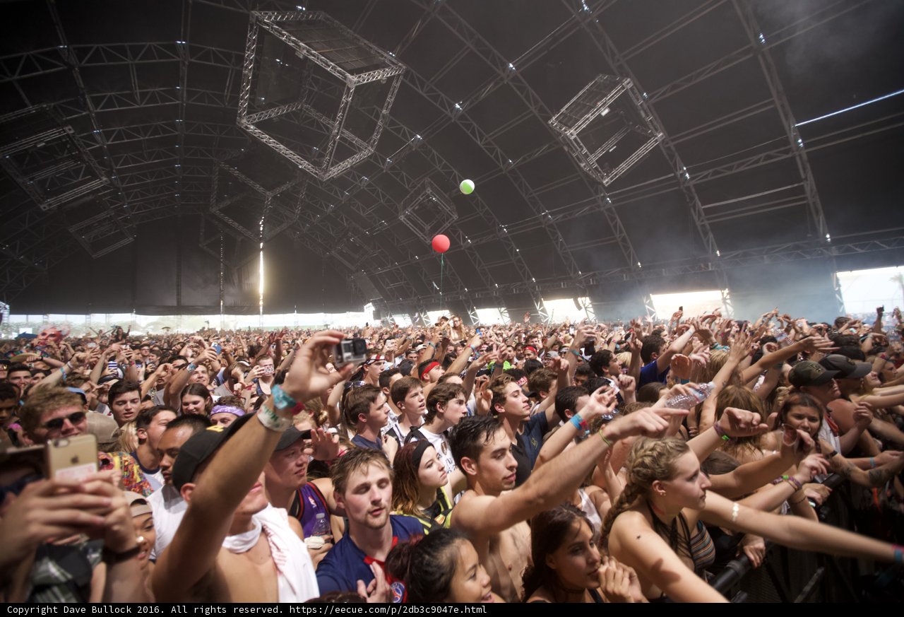 High Energy Concert Crowd